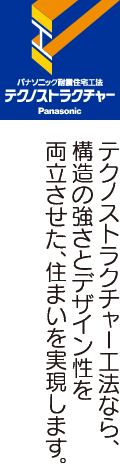 テクノストラクチャー